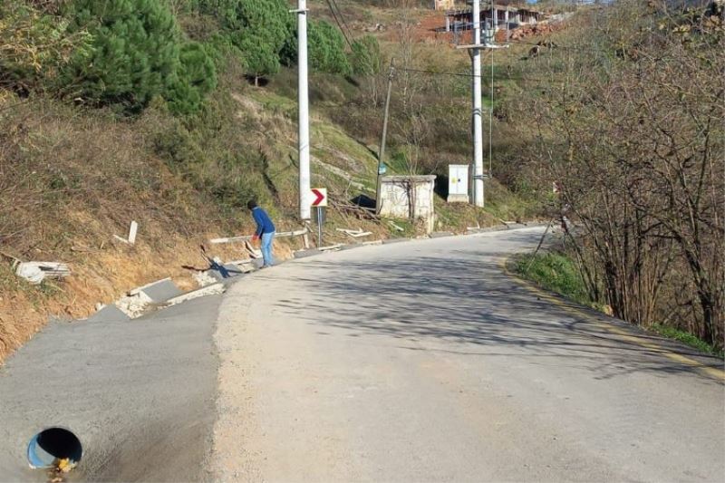 Sakarya Söğütlü