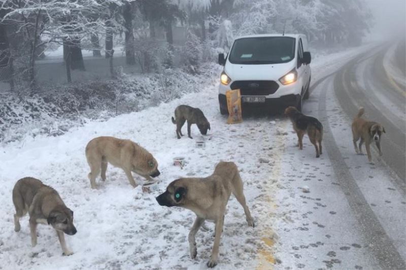 Osmangazi Belediyesi, Uludağ