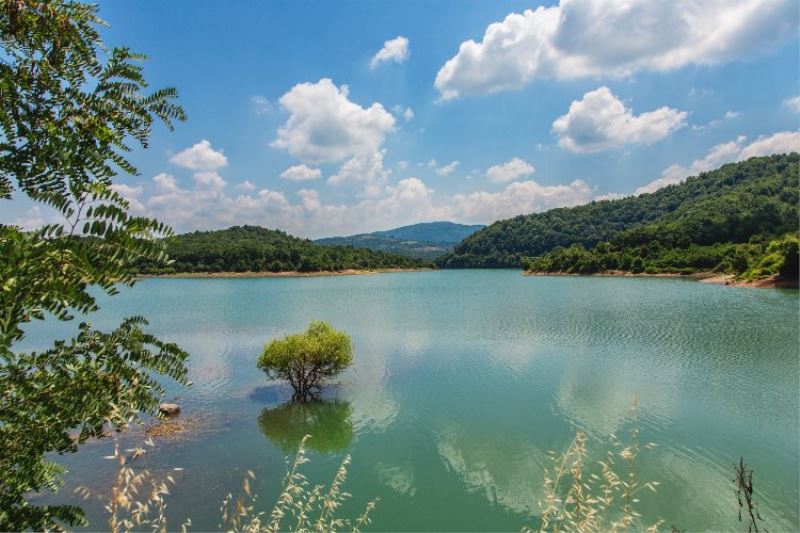 Yalova Gökçe Barajı