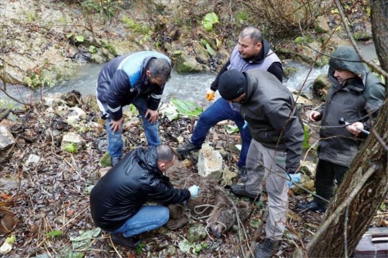 Bursa İnegöl