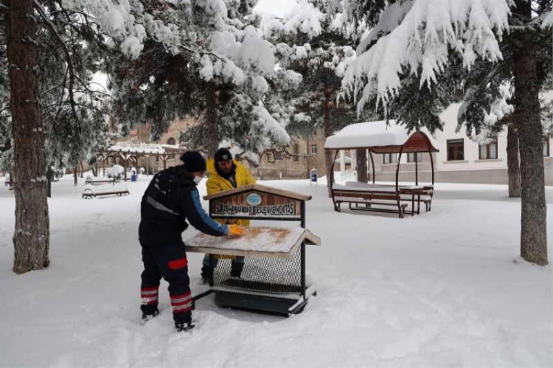 Kuşlar için parklardaki beslenme odaklarına buğday bırakıldı 