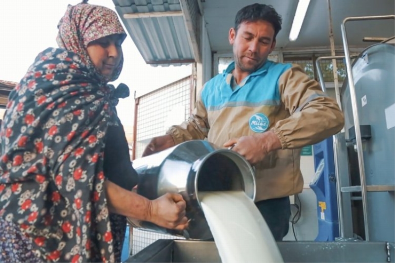 Örgütlü süt üreticisi “tescil ödemesi” kamburundan kurtarılmalı!