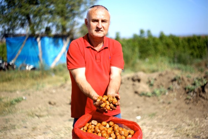 Bursa Yenişehir