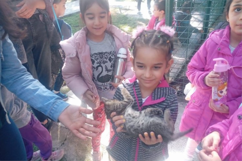 Öğrencilerden evcil hayvan parkına yoğun ilgi