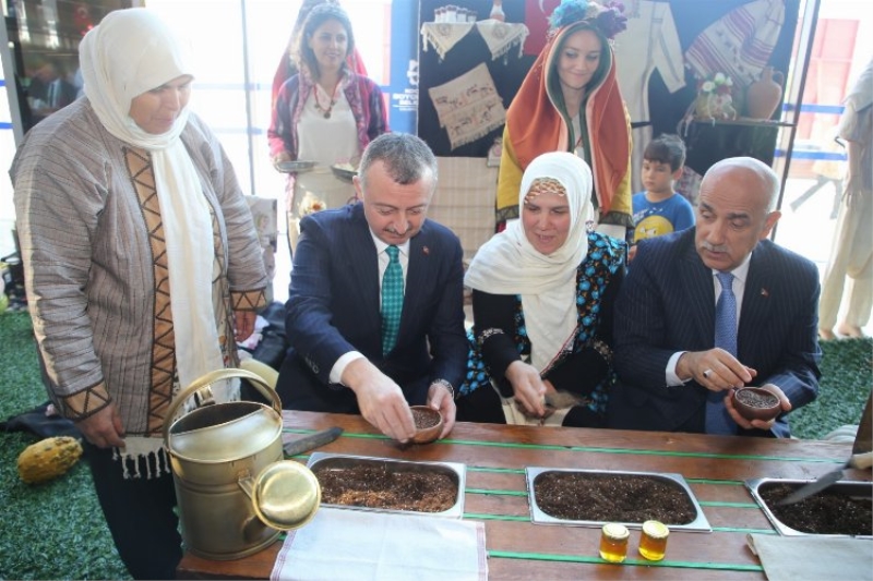 Kocaeli’nde üretilen biberiye ayçiçek yağında kullanılacak