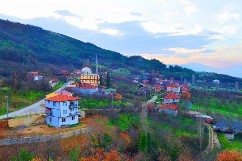 Bursa İznik