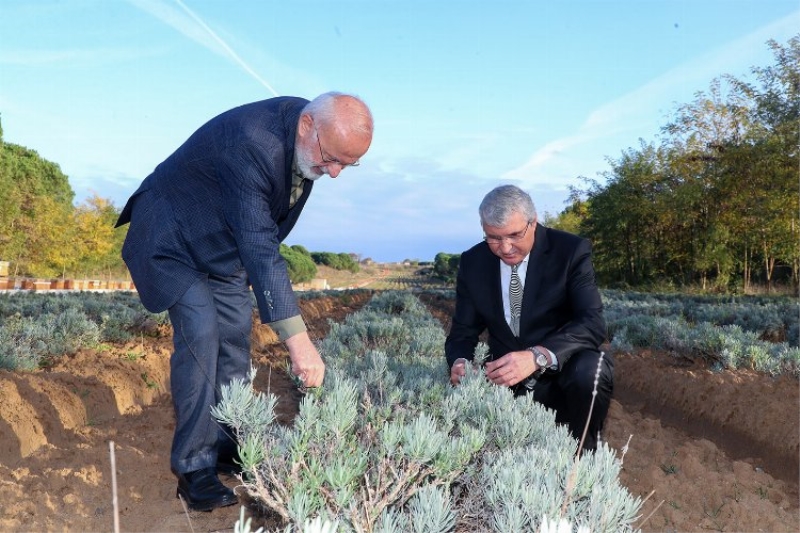 Cumhurbaşkanı Başdanışmanı Kasırga Sakarya