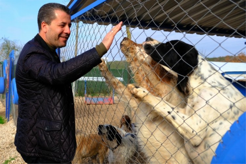 Mesut Şehitoğlu’ndan Bursalılara çağrı; “Her aile 1 can dostu sahiplenmeli”