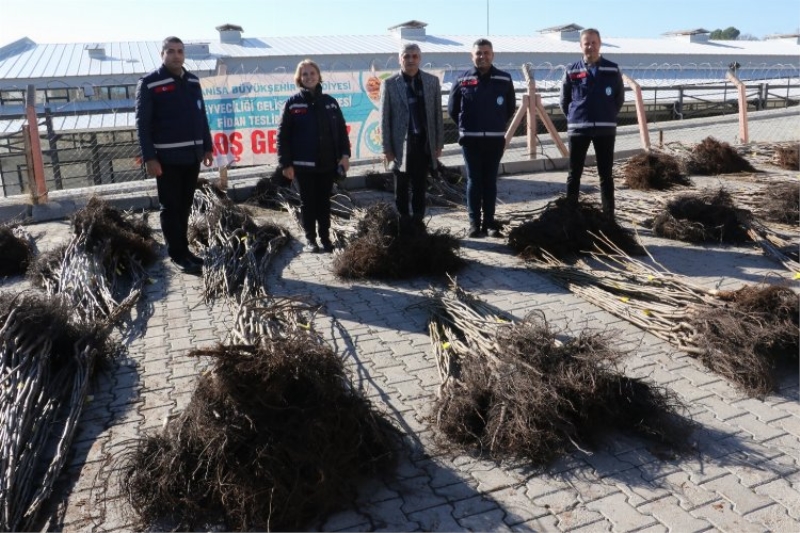 Manisa Gördesli üreticilere fidan desteği