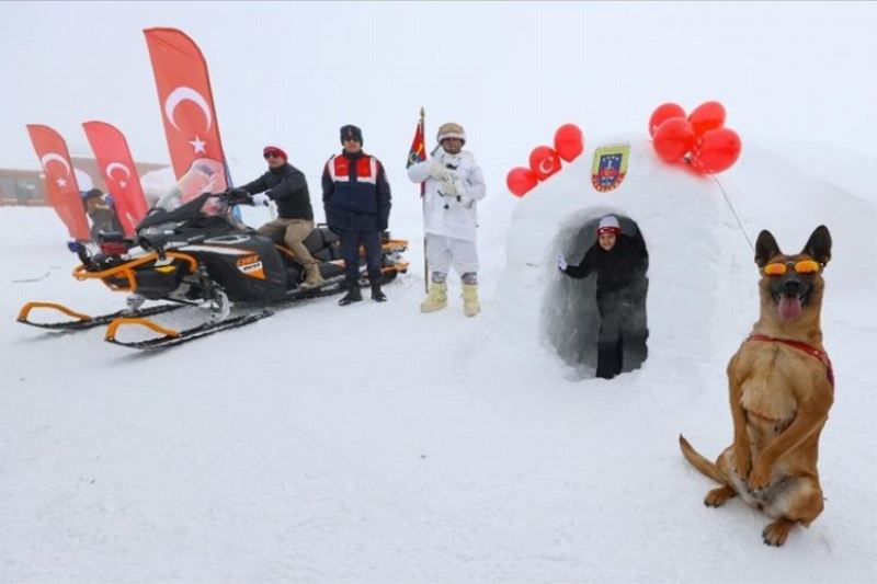 Hakkari