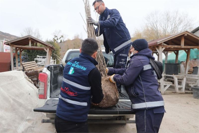 Kocaeli İzmit Belediyesi, ipekböcekçiliği  projesini genişletiyor