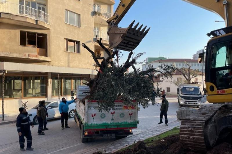 Manisa Büyükşehir’den yeşilin korunması için büyük hassasiyet