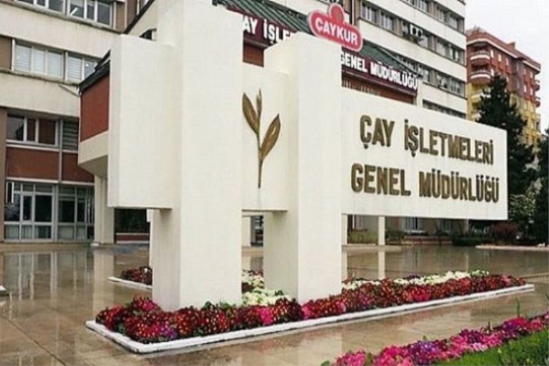 Çaykur alacağı yaş çay miktarını açıkladı