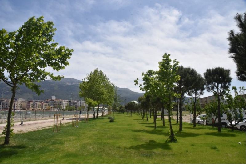 Manisa