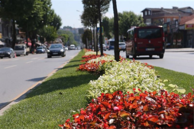 Sakarya çiçek bahçesine döndü