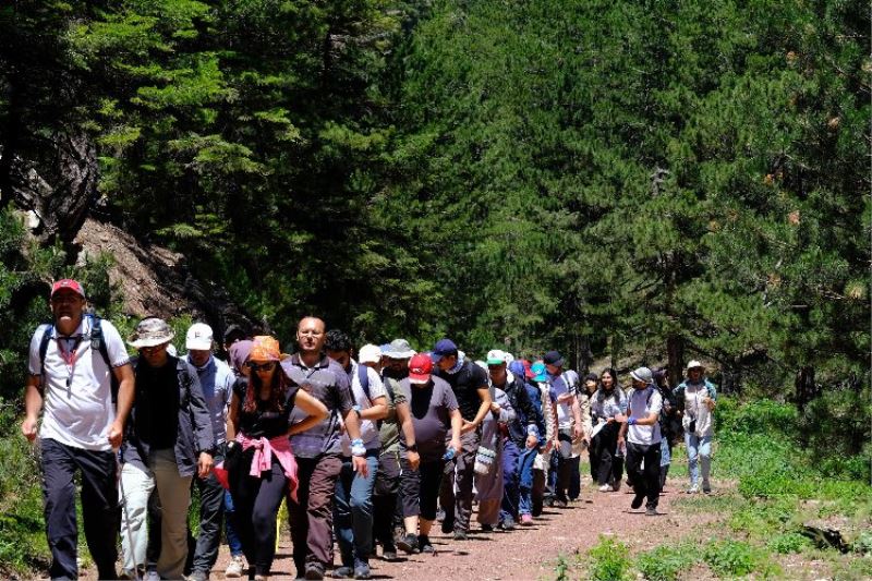 Doğaseverler Konya’nın yeşiline hayran kaldı