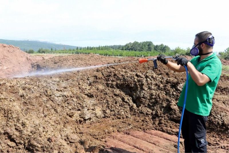 Kocaeli’de kurban pazar yerleri ilaçlanıyor