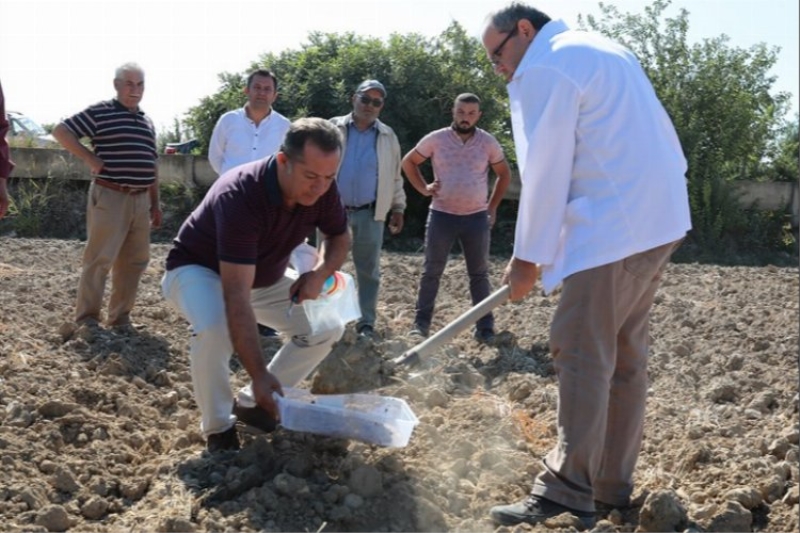 “Toprağını Tanı” projesine tam not