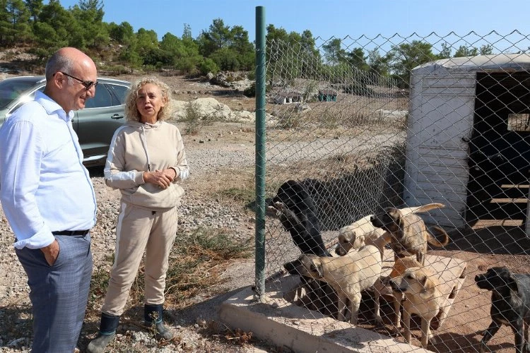 Egeli ihracatçılardan barınak hayvanlarına mama yardımı