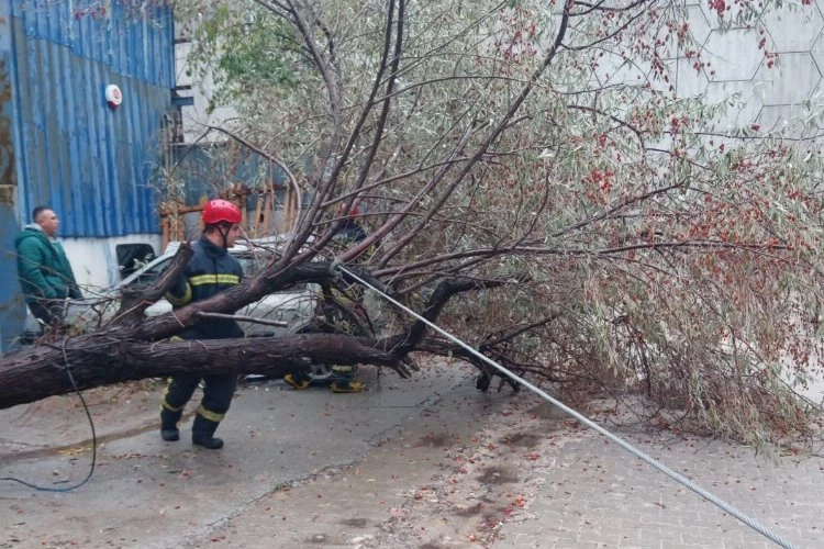 MASKİ sağanak yağış boyunca sahadaydı