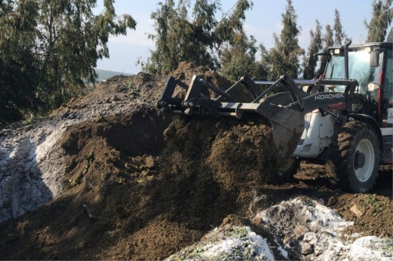 Depremde telef olan hayvanlar hastalık riskine karşı gömüldü