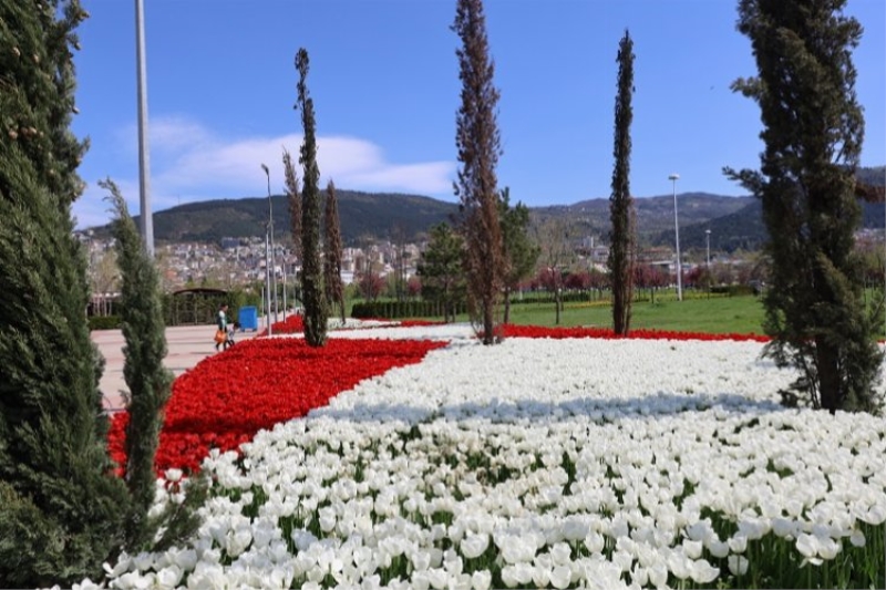 Baharın tüm renkleri Bursa’yı sardı