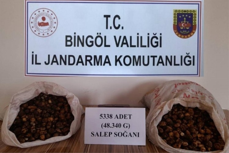 Bingöl