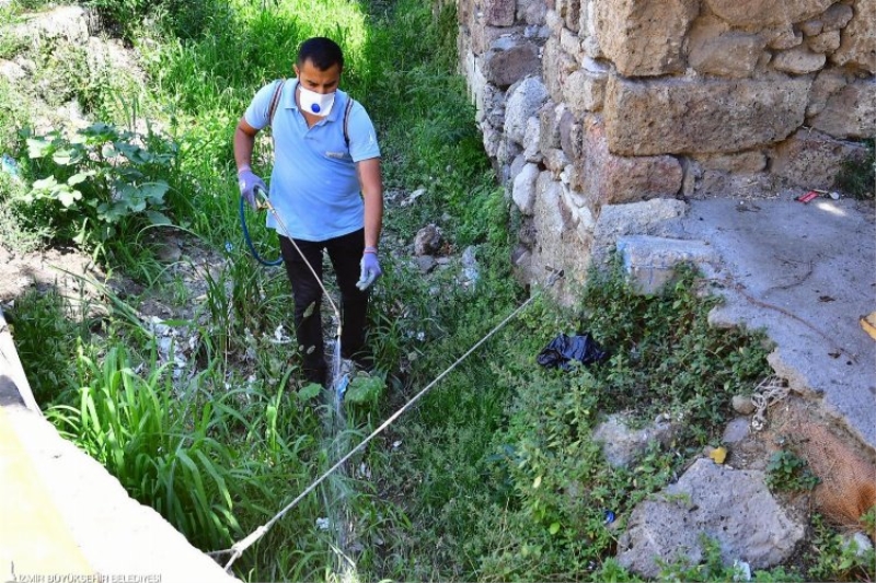 İzmir’de sivrisineklere karşı etkin mücadele