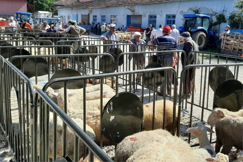 Pazaryeri’nde kurban satış yerine denetleme