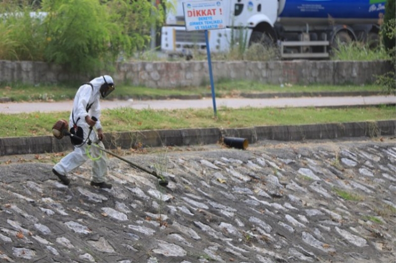 Sakarya Belediyesi Çark Deresi