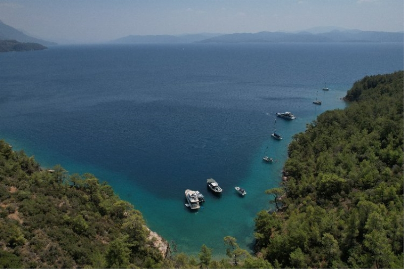 Muğla doğası için 174 dava açtı!