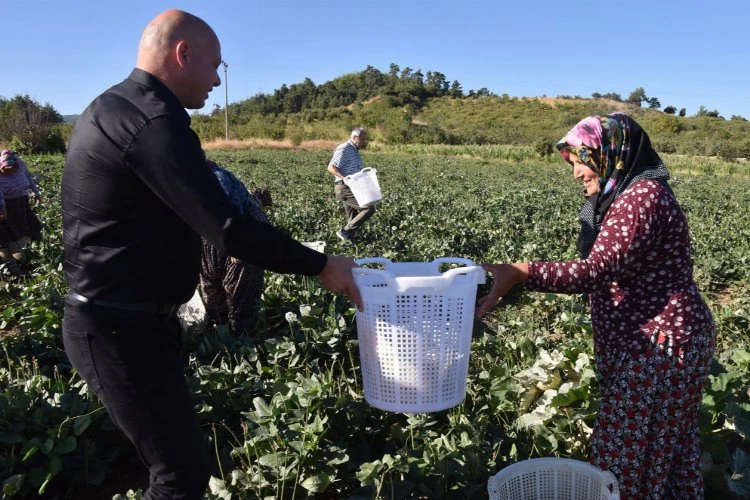 Börülce hasadında koruyucu ekipmanlar dağıtıldı