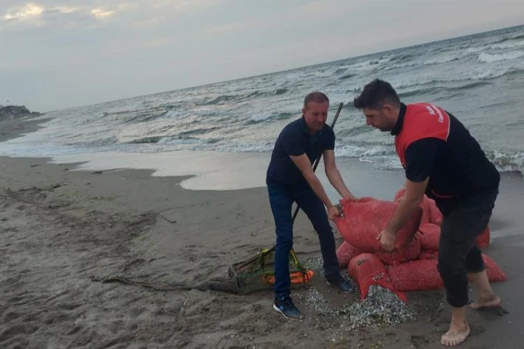 Bursa kırsal sahillerinde kum şırlanı denetimi