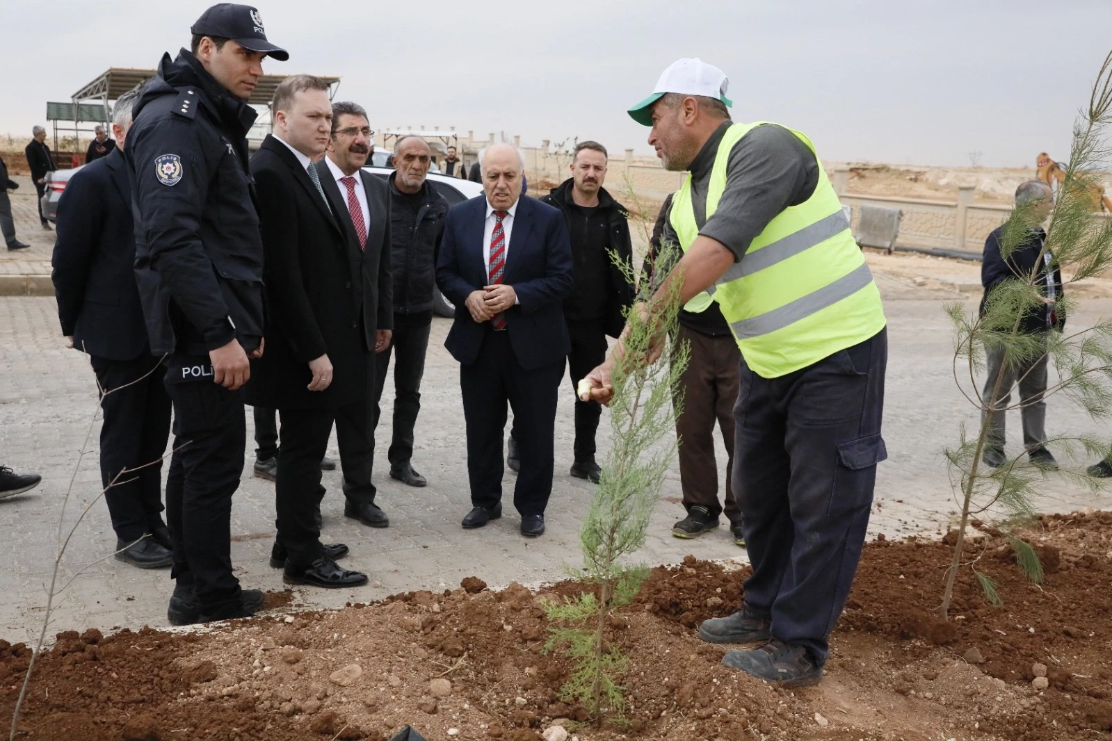 Mardin Yeşilli 2.ci OSB’de binlerce ağaç toprakla buluştu