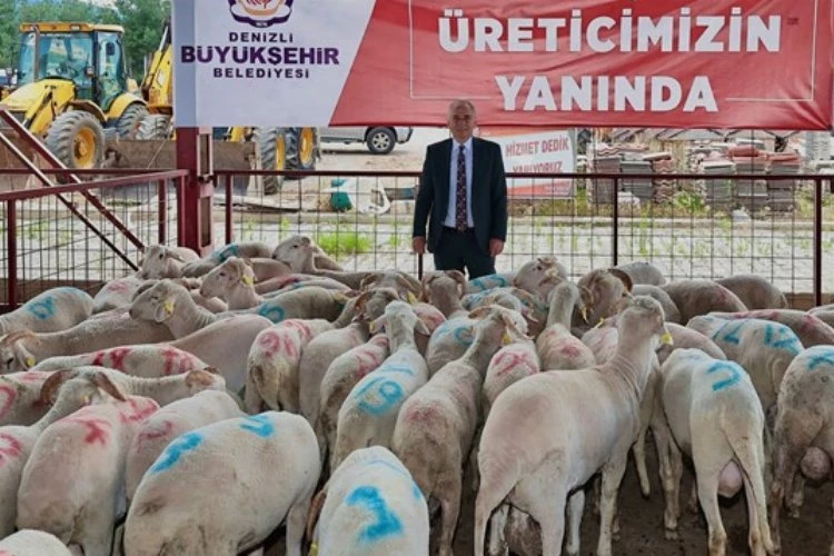 Hayvan üreticilerine büyük destek