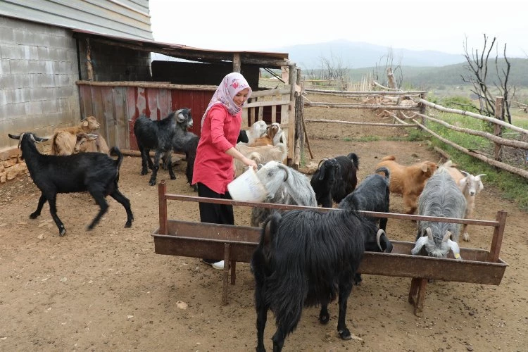 Muğlalı kadın üreticiler kazanıyor