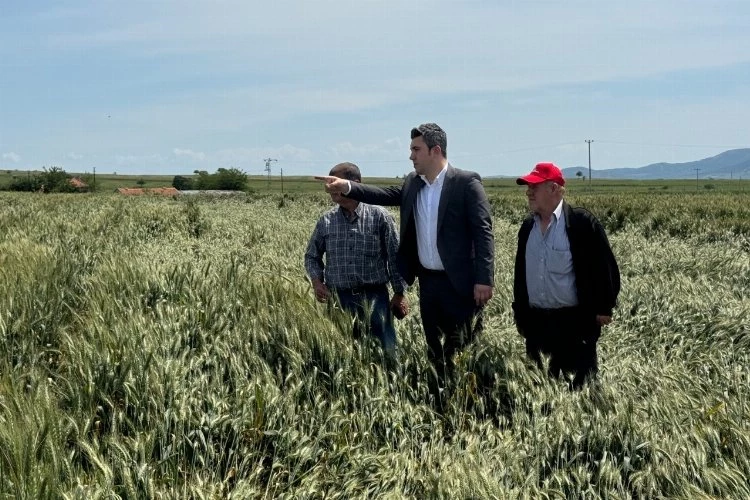 Çakır’dan hububat alım fiyatları eleştirisi