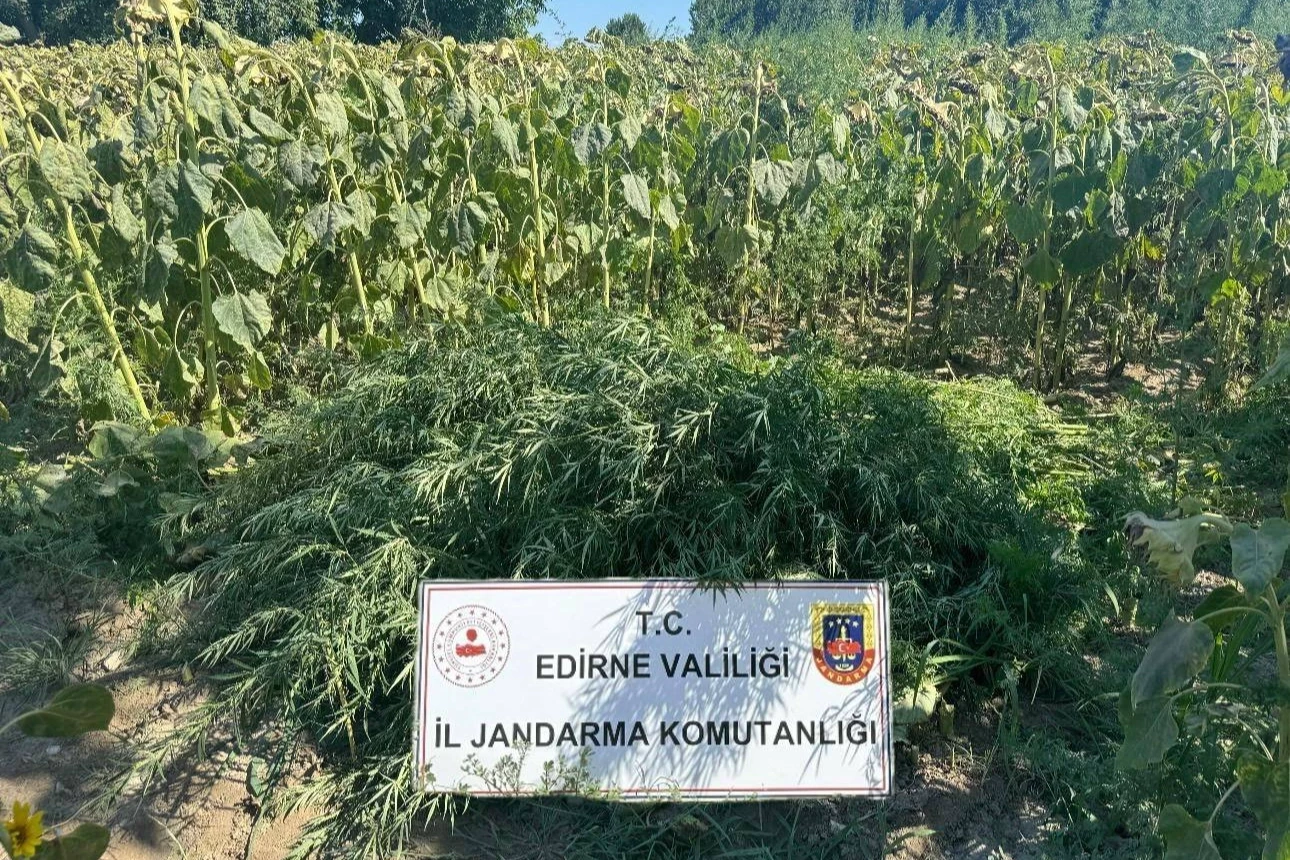 Edirne