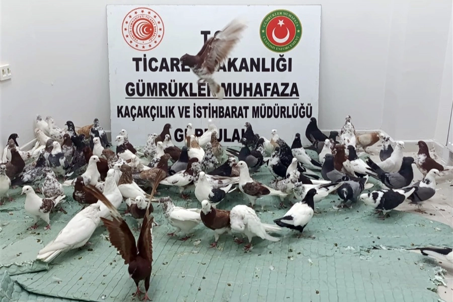 Ticaret