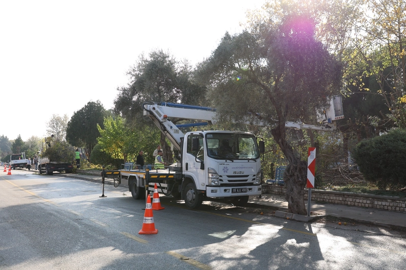 Aydın Büyükşehir Belediyesi Kent Genelinde Park ve Bahçe Çalışmalarını Sürdürüyor