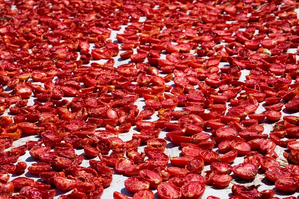 Şifa deposu kuru domates ihracatta dünya ikincisi